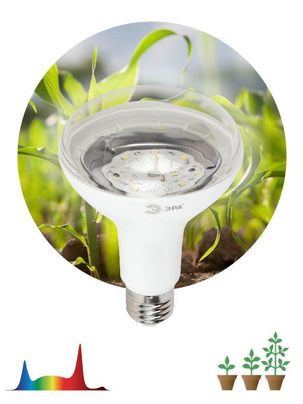 Лампа светодиодная FITO-15W-Ra90-E27 15Вт BR30 E27 220-240В для растений полноспектральная бел. спектр Эра Б0039173