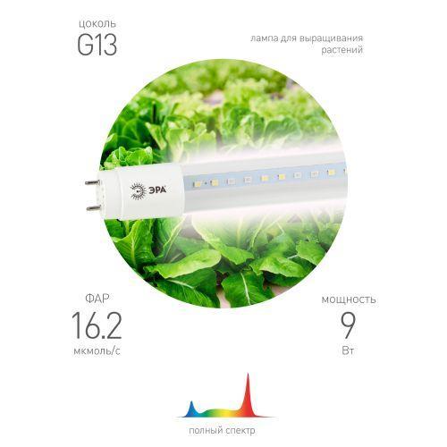 Лампа светодиодная FITO-9W-Ra90-Т8-G13-NL 9Вт T8 линейная 46LED 2835 IP20 35000ч для растений полноспектральная стекло Эра Б0042988