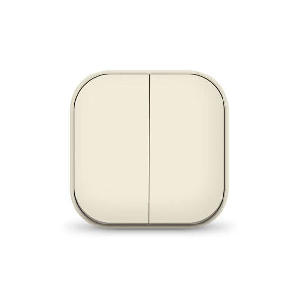 Выключатель 2-кл. 1п ОП 10А IP20 сл. кость IONICH 1425